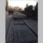 R0021601_AuschwitzBirkenau.jpg