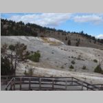 R0024950_Yellowstone_MamothHotSprings.jpg