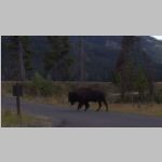 R0024981_Yellowstone_LamarValley.jpg