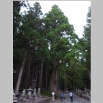 Koyasan_Cemetary_R0016119.jpg