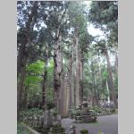 Koyasan_Cemetary_R0016122.jpg