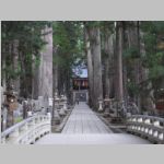 Koyasan_Cemetary_R0016135.jpg