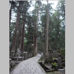 Koyasan_Cemetary_R0016139.jpg