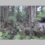 Koyasan_Cemetary_R0016153.jpg