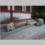 Koyasan_MainStreet_R0015928.jpg