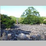 Kyoto_8000Buddhas2.jpg