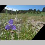 R0020933_CusterStatePark.jpg