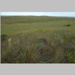 R0020683_LittleBighorn.jpg