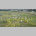R0020693_LittleBighorn_LastStandHill.jpg