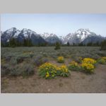 R0020117_Tetons.jpg