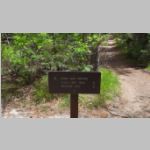 R0020155_Tetons_LeighLakeTrail.jpg