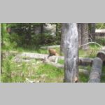 R0020174_Tetons.jpg