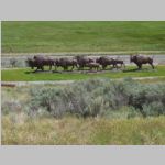 R0020197_Tetons_JacksonWildlifeArtMuseum.jpg