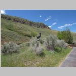 R0020198_Tetons_JacksonWildlifeArtMuseum.jpg
