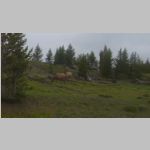 R0019825_Yellowstone.jpg