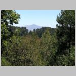 IMG_20180511_135027.jpg