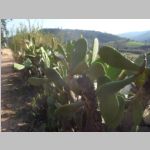R0019415_Portugal_RetreatCenter.jpg
