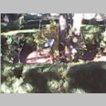 RMG0169A.jpg