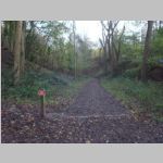 R0022519_Bristol_Leigh_Woods.jpg