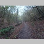 R0022520_Bristol_Leigh_Woods.jpg