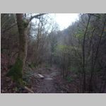 R0022522_Bristol_Leigh_Woods.jpg
