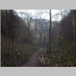 R0022523_Bristol_Leigh_Woods.jpg