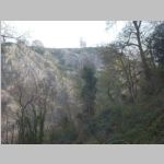 R0022524_Bristol_Leigh_Woods.jpg