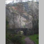 R0022525_Bristol_Leigh_Woods.jpg