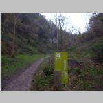 R0022526_Bristol_Leigh_Woods.jpg