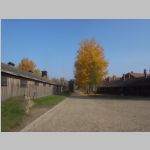 R0021544_Auschwitz.jpg