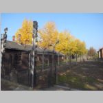 R0021549_Auschwitz.jpg