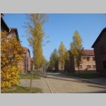 R0021551_Auschwitz.jpg