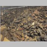 R0021565_Auschwitz.jpg