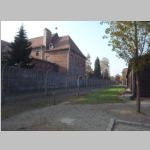 R0021572_Auschwitz.jpg