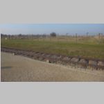 R0021589_AuschwitzBirkenau.jpg