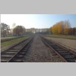 R0021593_AuschwitzBirkenau.jpg