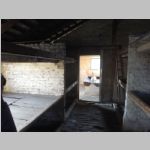 R0021617_AuschwitzBirkenau.jpg