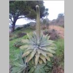 CAM00267_Portugal.jpg