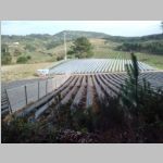 CAM00271_Portugal_near_RetreatCtr.jpg