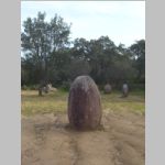 R0022948_Portugal_Evora_Almendres_Cromlech.jpg