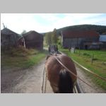 R0021113_UvasWagonRide.jpg