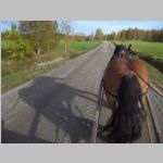 R0021125_UvasWagonRide.jpg