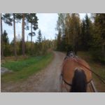 R0021129_UvasWagonRide.jpg