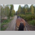 R0021130_UvasWagonRide.jpg