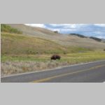 R0024963_Yellowstone_LamarValley.jpg