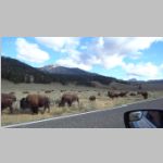 R0025144_Yellowstone_LamarValley.jpg